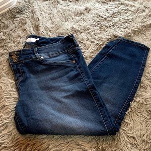 Torrid Denim Jegging 18S